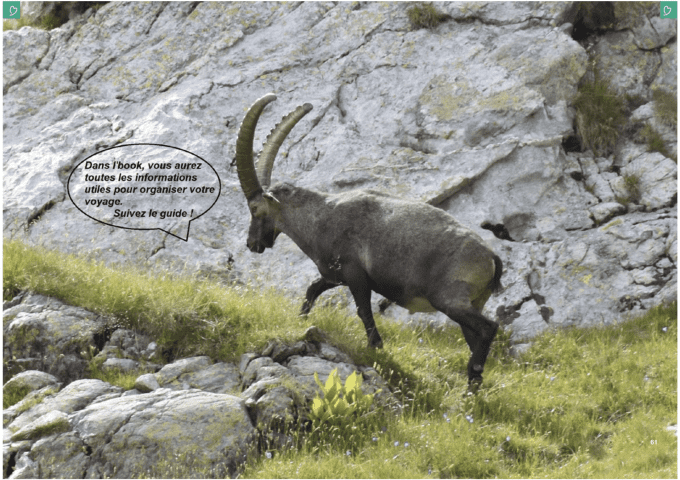 livre "voyage au coeur de la Suisse" 